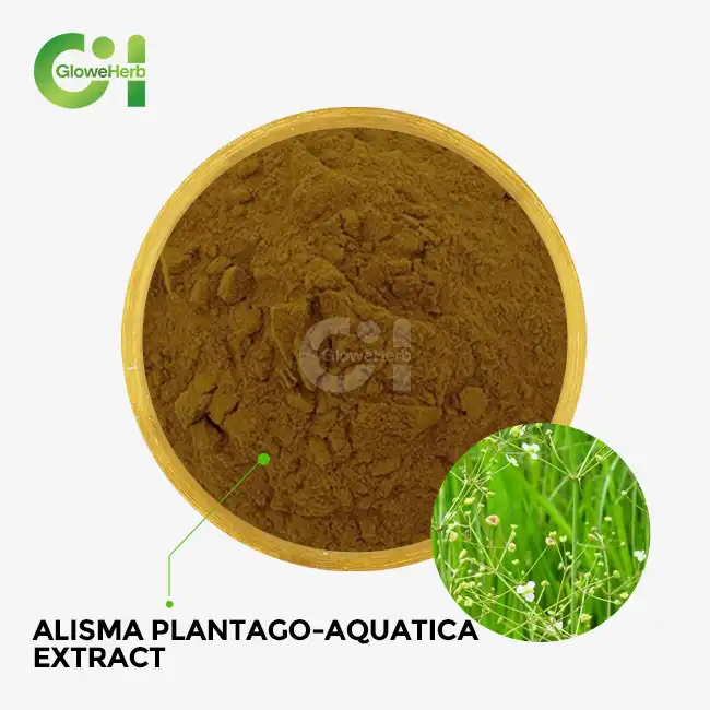 Alisma plantago-aquatica extract
